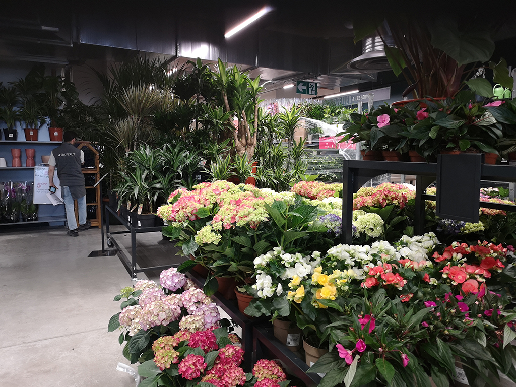 La serre du rez de chaussée