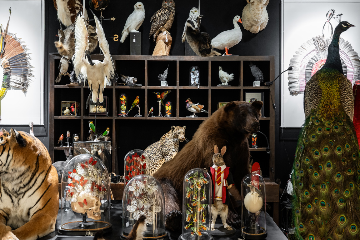  M&O_Jan24_HALL 7_Design & Nature_2028_©Anne-Emmanuelle Thion.jpg 