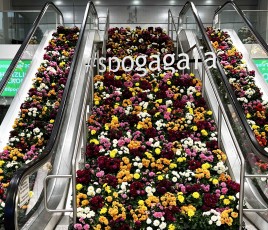 fleurs-escalator-salon gala