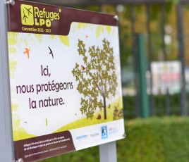 Castorama refuge LPO