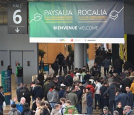 Paysalia © Nicolas Rodet 9.jpg 