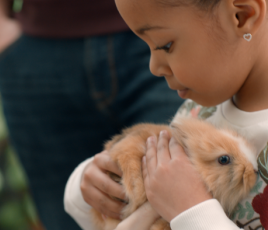 Truffaut met de la pub TV dans sa vie
