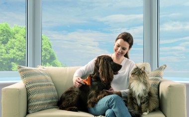 Les Français, fans des animaux