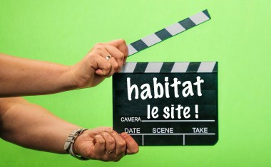 lancement site habitat