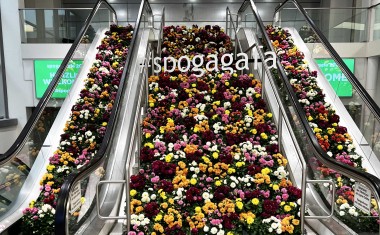 fleurs-escalator-salon gala