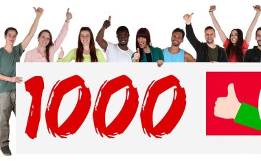 Mr bricolage 1000 magasins