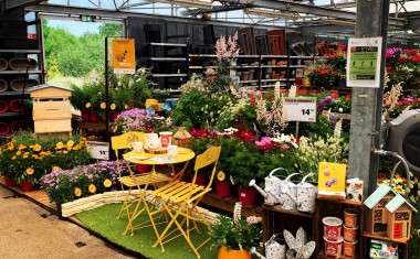 Jardiland-Abeille 4.jpg