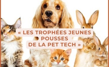 trophées pet tech