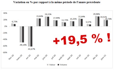 Brico : l'année démarre en trombe