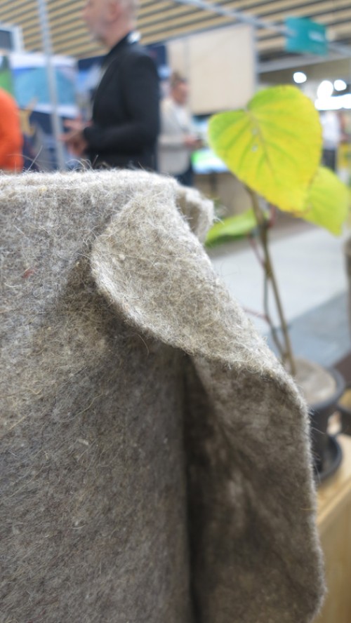  Glemas Paysalia 2023 Capillum.jpg 