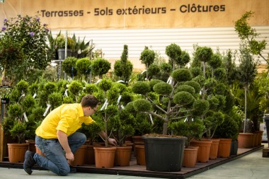 Mise en scène Bricorama